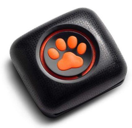 This dog tracker displays daily dog exercise and rest, distance and calories