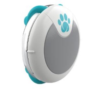 This monitor is great for keeping tabs on your dog's activity levels and mood