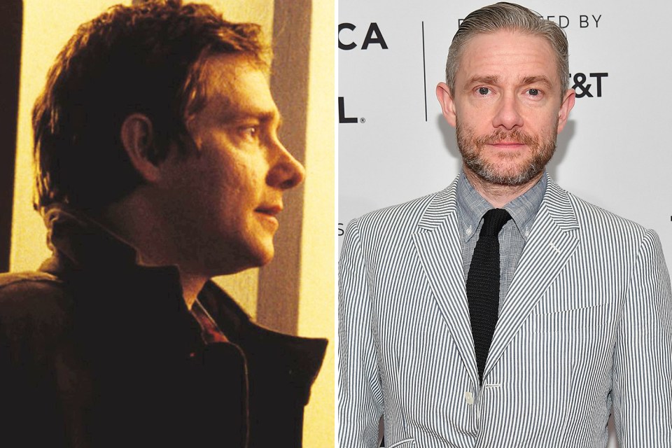 Martin got a big gig in playing Bilbo Baggins in The Hobbit movies