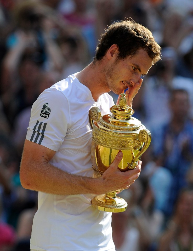 Andy Murray beat world No 1 Novak Djokovic to win his first Wimbledon title in 2013