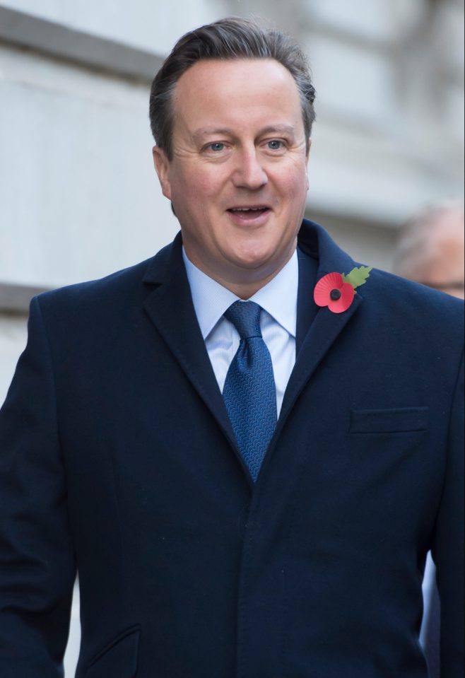 Under David Cameron, fewer than half of the voting group supported the Conservatives