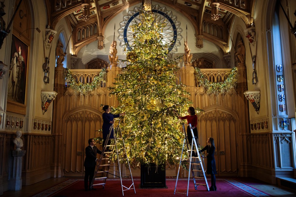  Her Majesty picks out hre 20ft tree from the Sandringham estate