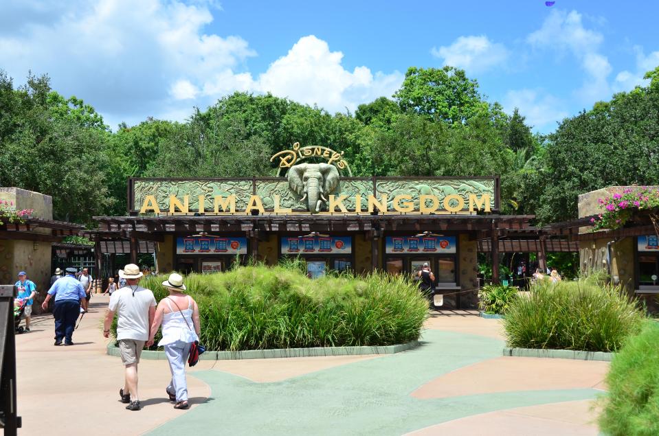  Animal Kingdom is the only one with doors at the entrances and exits of restrooms so guests can hide out there if any wildlife escapes