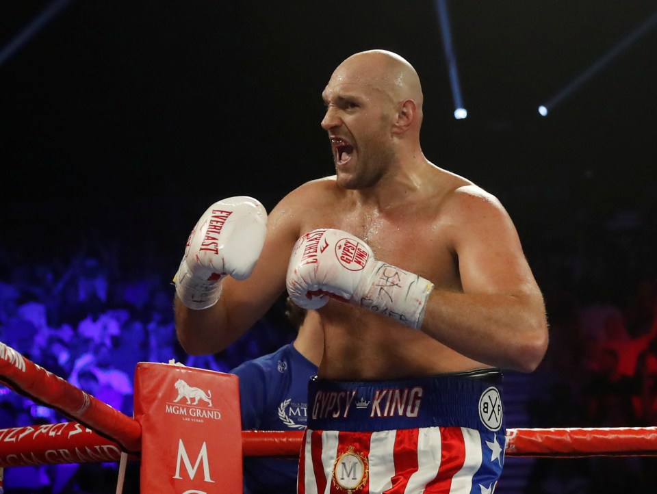 Tyson Fury is set to rematch Wilder next year for the WBC belt