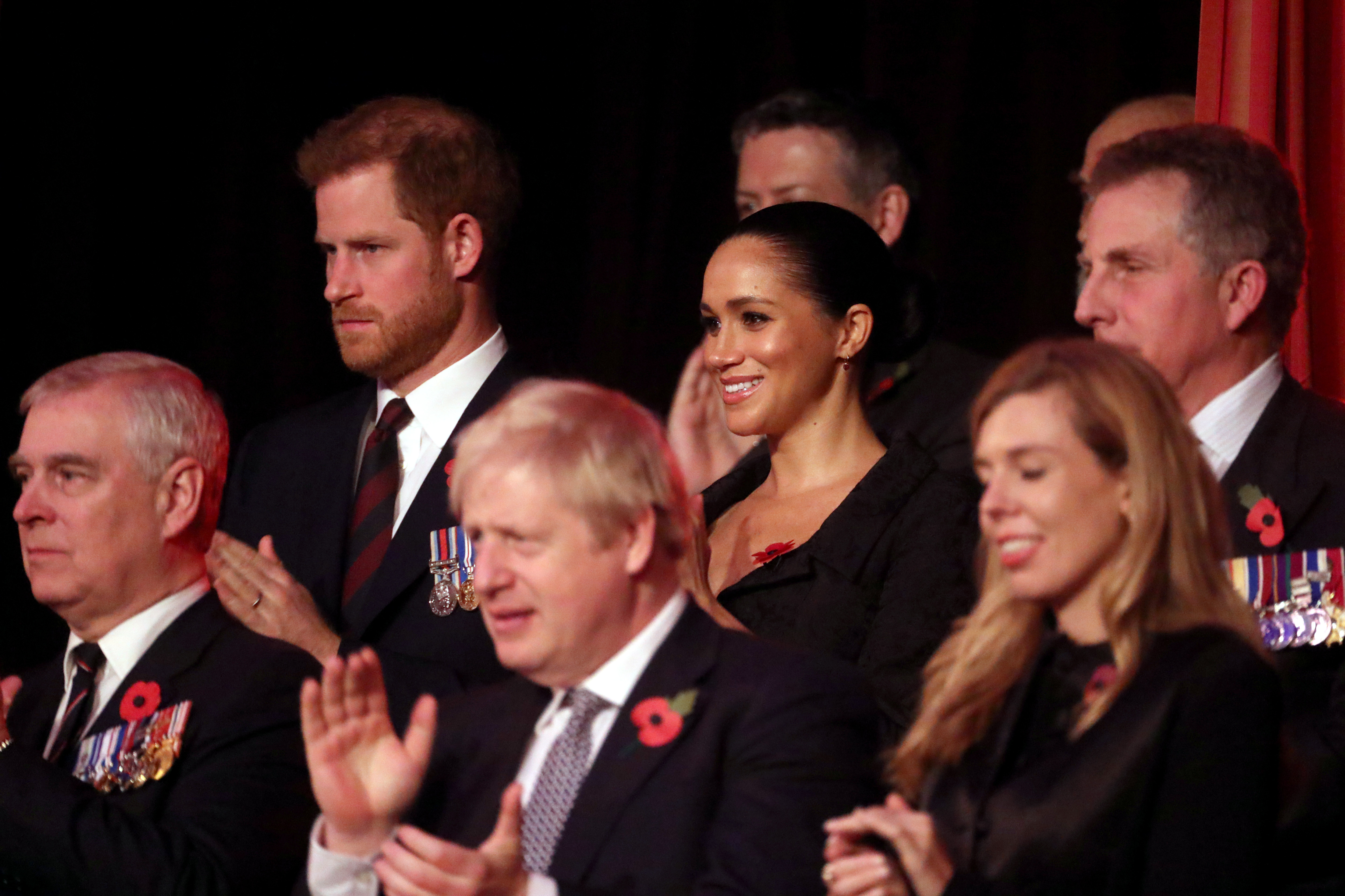 The  Duke and Duchess of Sussex and Prince Andrew attended the Royal Festival of Remembrance in early November