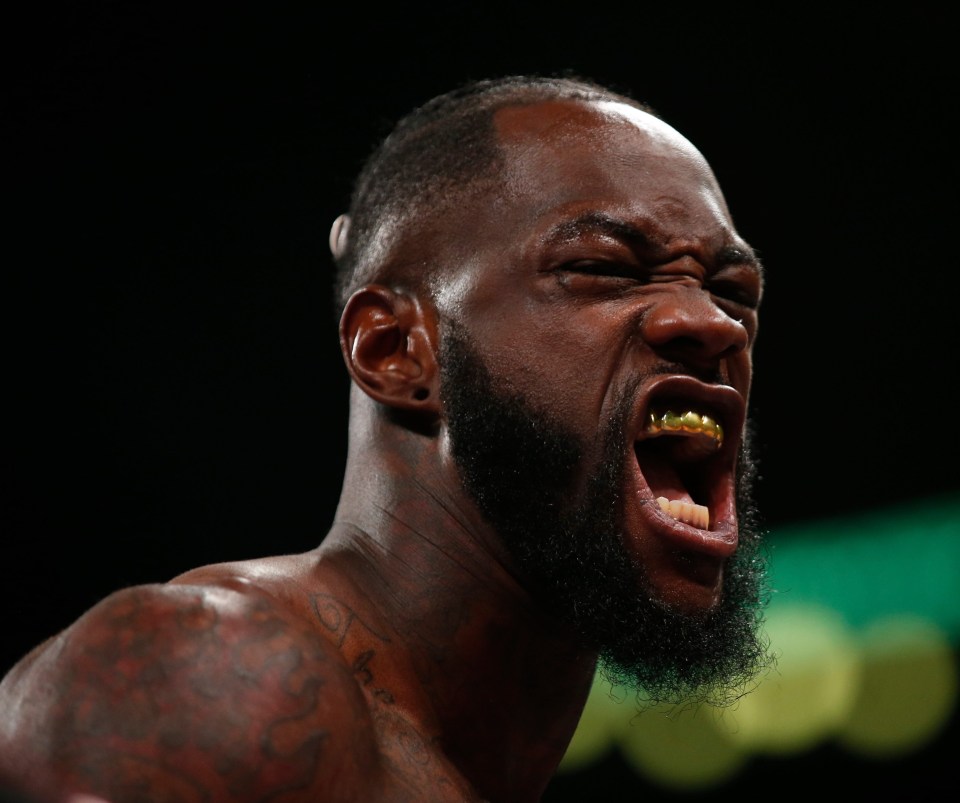 Deontay Wilder has destroyed all of his opponents so far – barring the enigma that is Tyson Fury