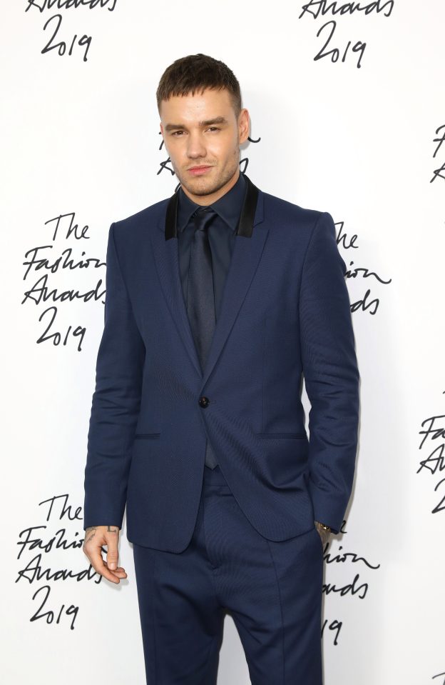  Liam Payne has revealed it was 'touch and go' and he was 'losing the plot' as he battled alcohol issues while in One Direction