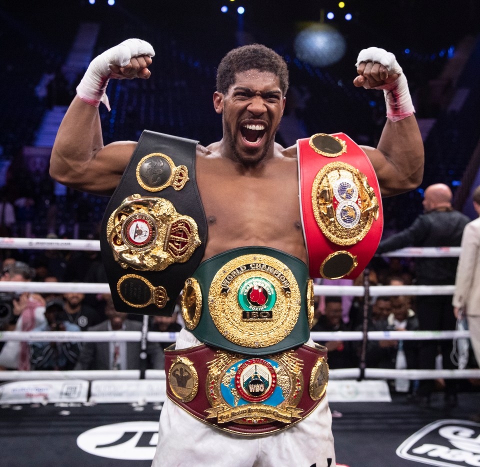 Anthony Joshua got the ultimate revenge against Andy Ruiz Jr to win back his heavyweight world titles