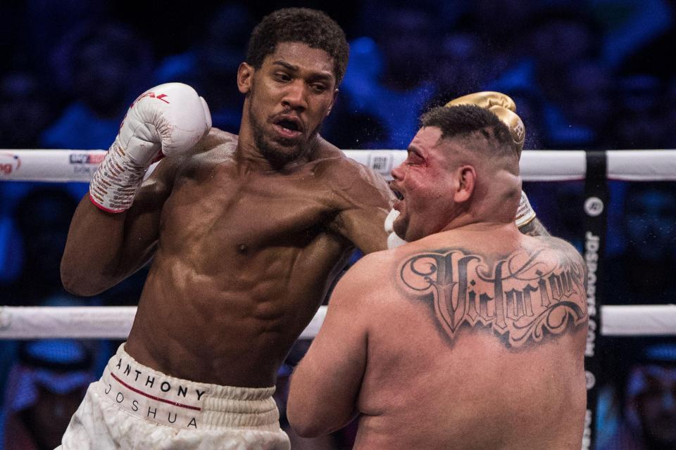  Anthony Joshua reclaimed his world titles after his bout against Andy Ruiz Jr