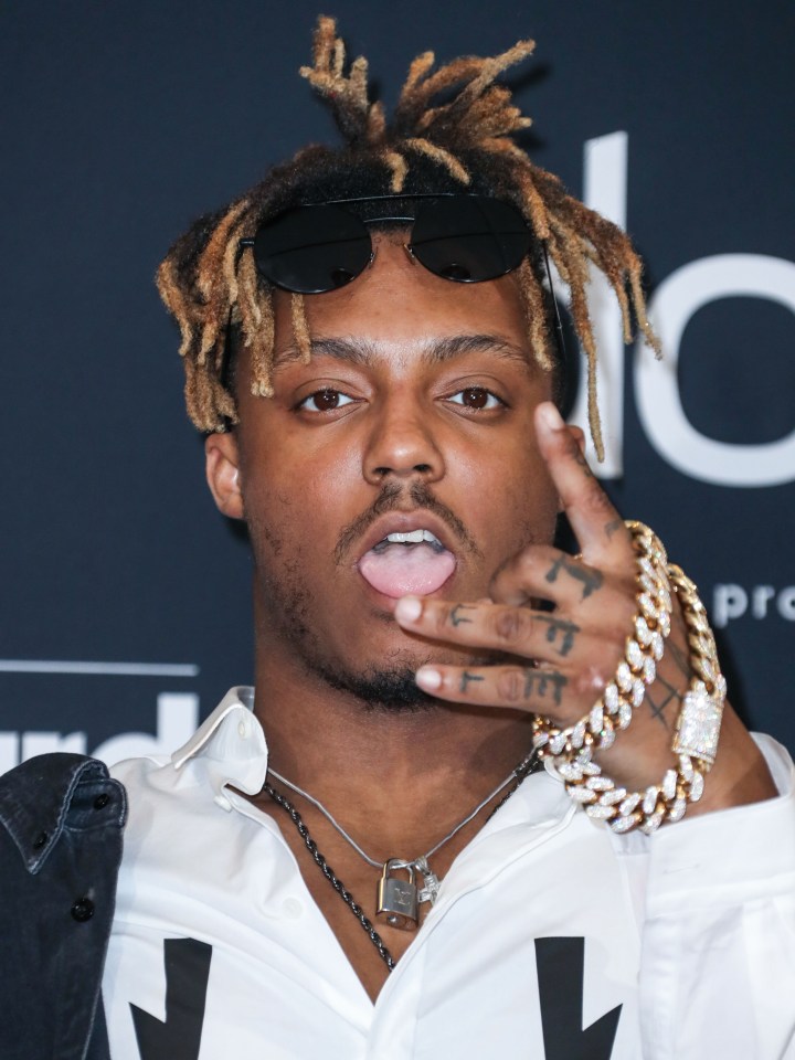  Juice Wrld died of a suspected drug-induced seizure aged 21