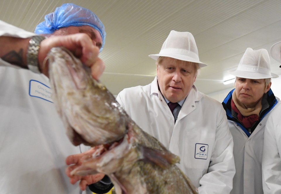  Boris, pictured during his Grimsby visit, said Labour’s Brexit stance represented “the great betrayal"