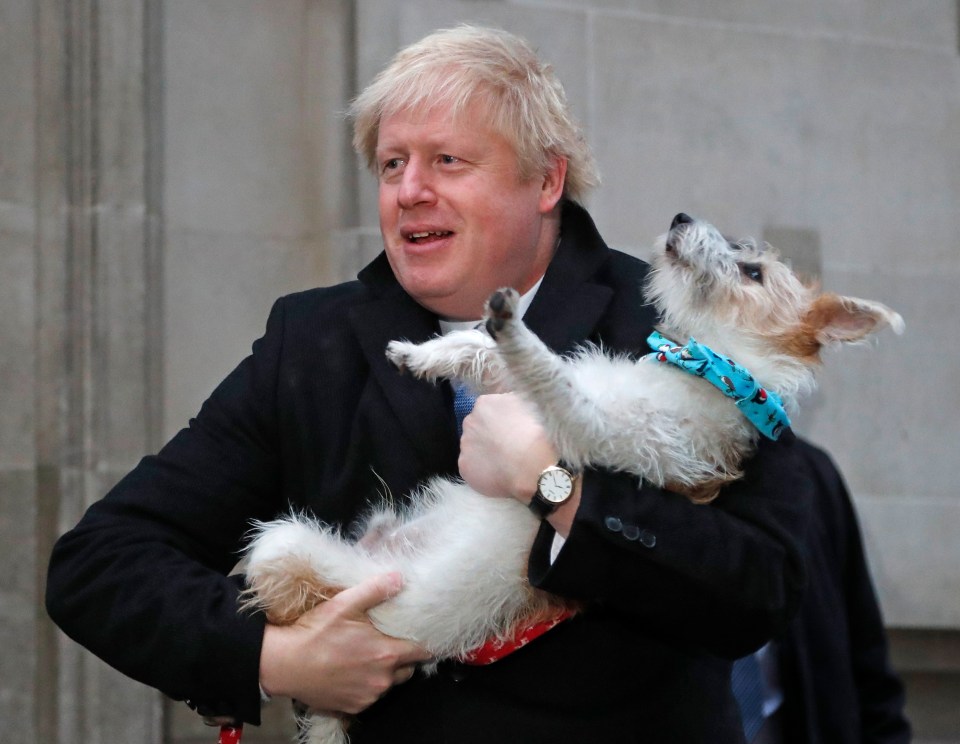 Boris, pictured at the polls with his pet dog, has urged Brits to vote