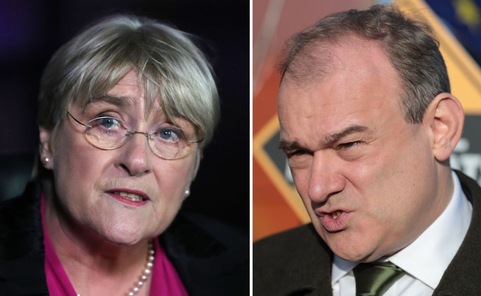  Sal Brinton and Ed Davey will be acting leaders