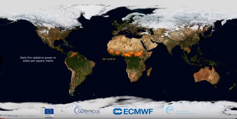  Huge areas of Earth were scorched by wildfires in 2019