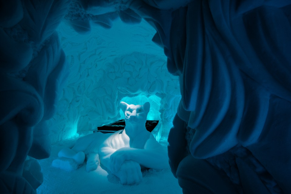 The feline room is created entirely from ice and snow