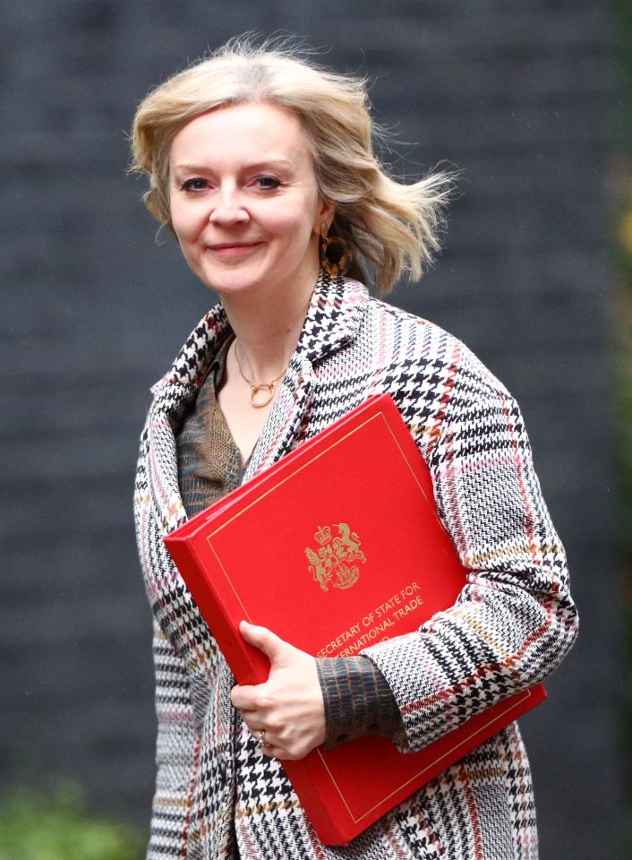  Liz Truss has promised a string of changes