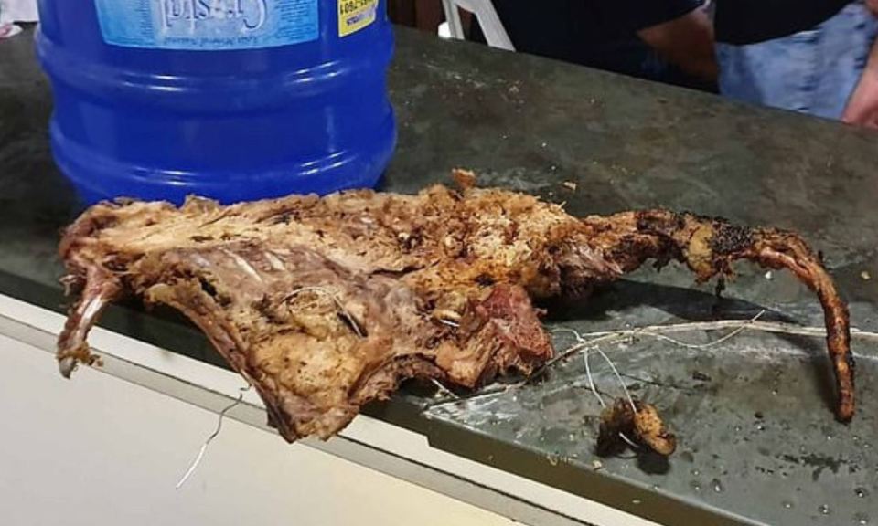  Spectators were fed barbecued dog meat, cops say