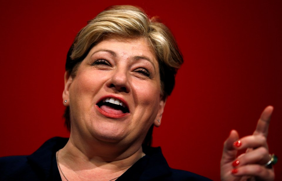  Emily Thornberry announced she is running for the Labour leadership after taking legal action against ex-Labour MP Caroline Flint