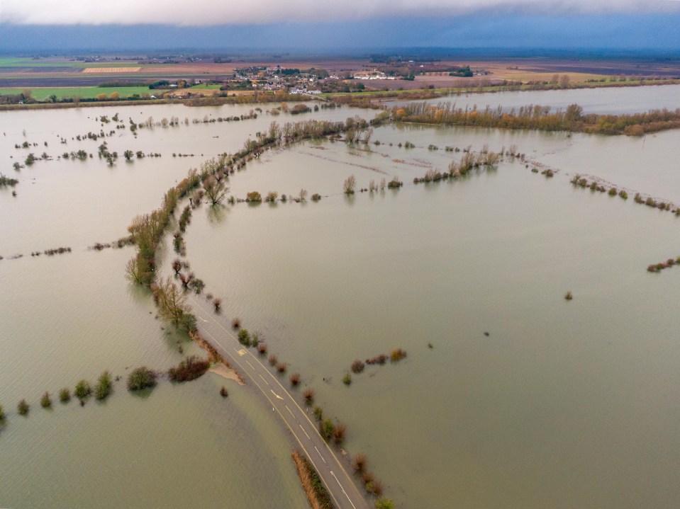  Trees and shrubs were dwarfed by floodwater in Wenley, Norfolk