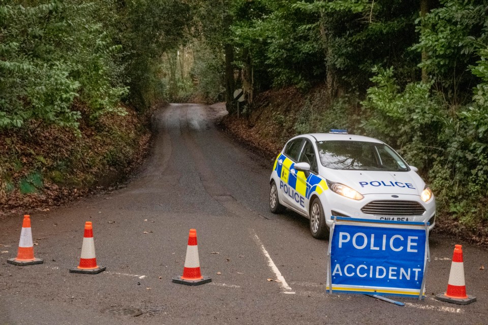 The bodies of twin brothers were found together in a country lane yesterday in Sevenoaks, Kent — amid fears it was a joint suicide