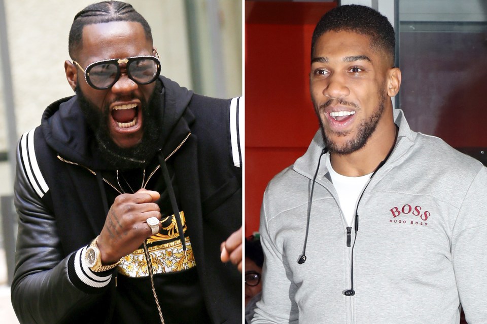  Deontay Wilder has backed Anthony Joshua's call for the two of them to fight