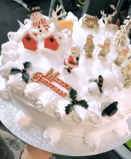  Emily made an incredible Christmas cake