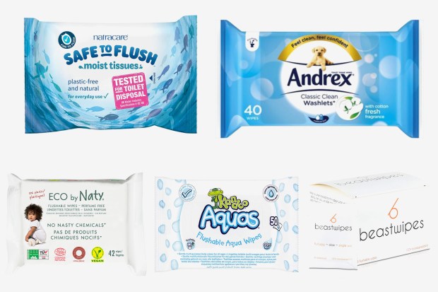 best flushable wipes