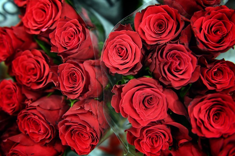  We've rounded up the best deals for bunches and bouquets of roses for Valentine's Day