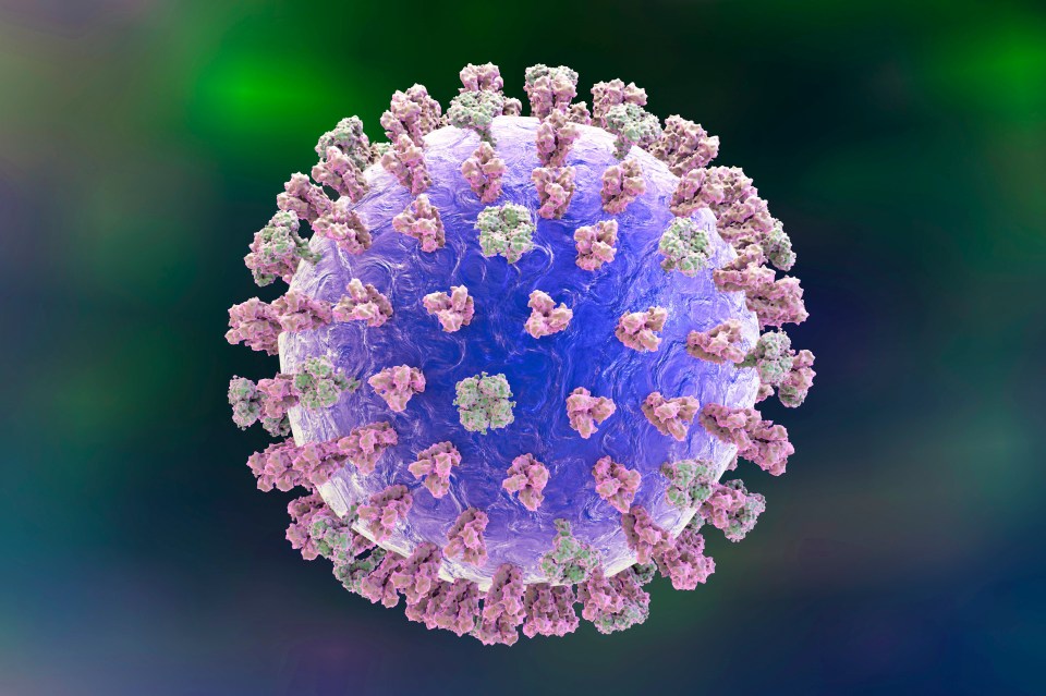 The Spanish flu pandemic, file image of an influenza virus, was the deadliest outbreak in history