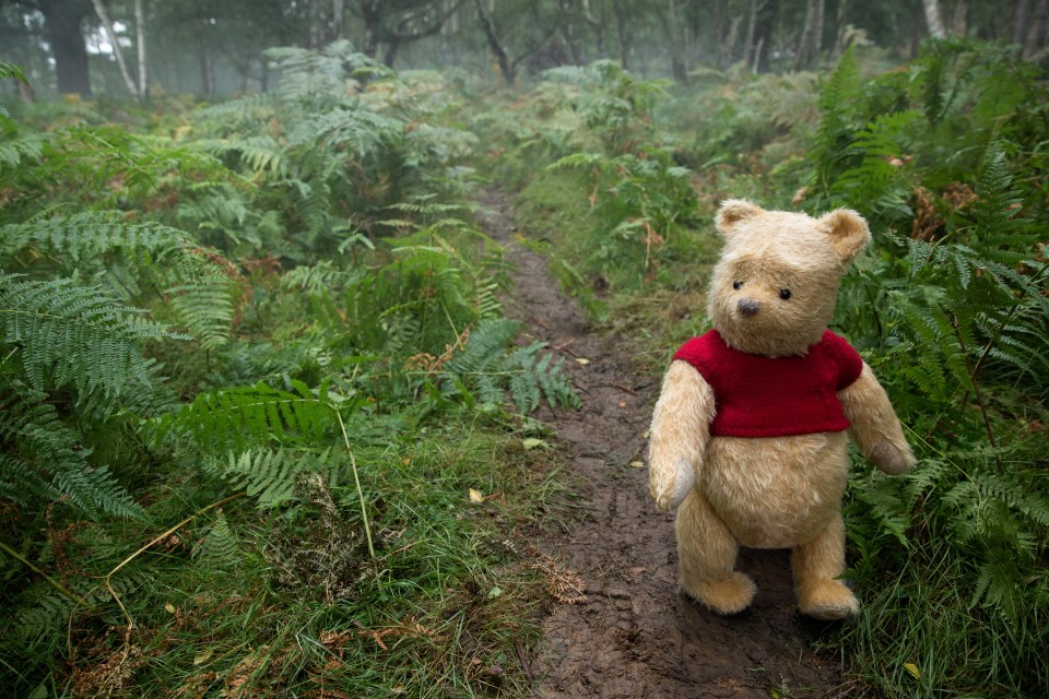  The woods are home to Winnie the Pooh and his friends