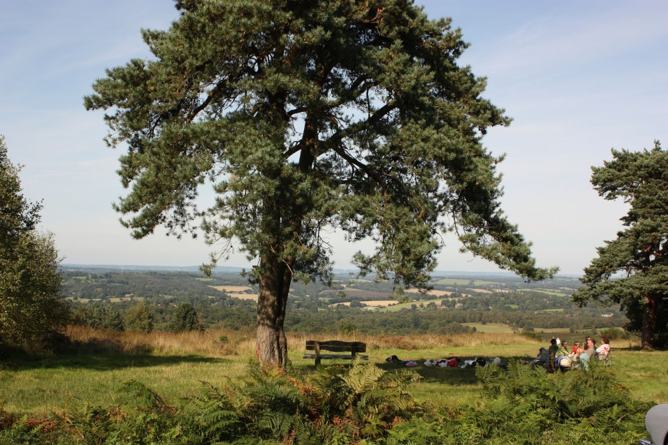  Ashdown Forest was the inspiration for the Hundred Acre Wood