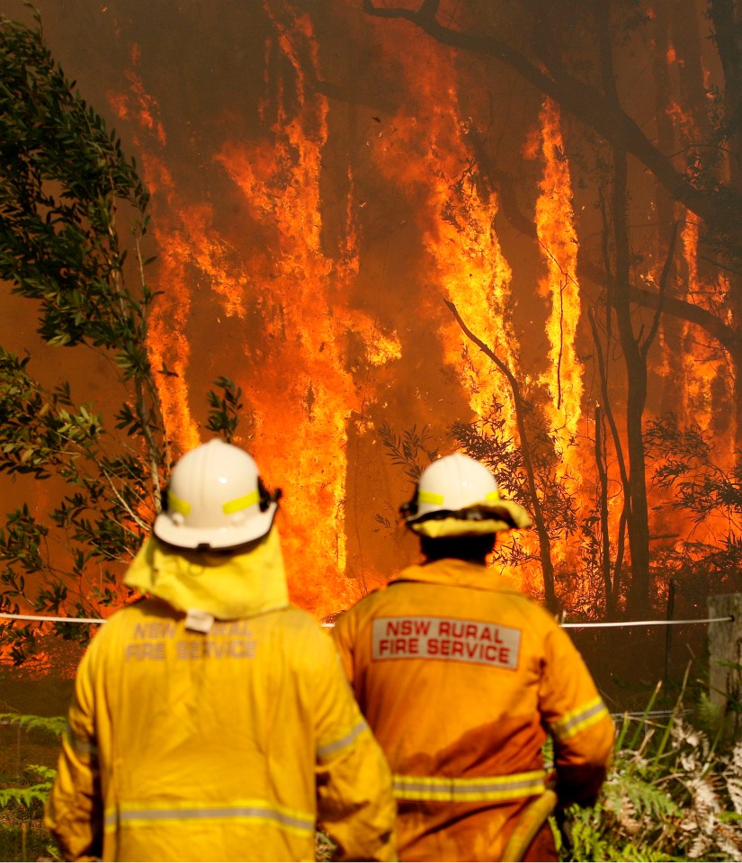  Sir David has linked Australia's fires to climate change