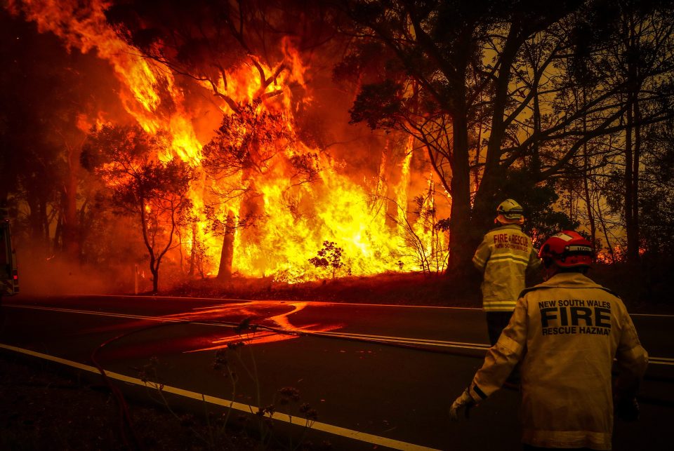  Bushfires have raged huge portions of Australia in recent weeks