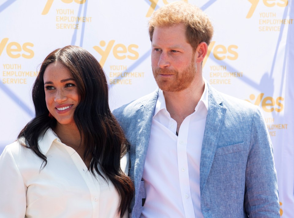  Sources close to Harry and Meghan say they regard their role as similar to the tech innovators who have challenged the established heavyweights of the corporate world