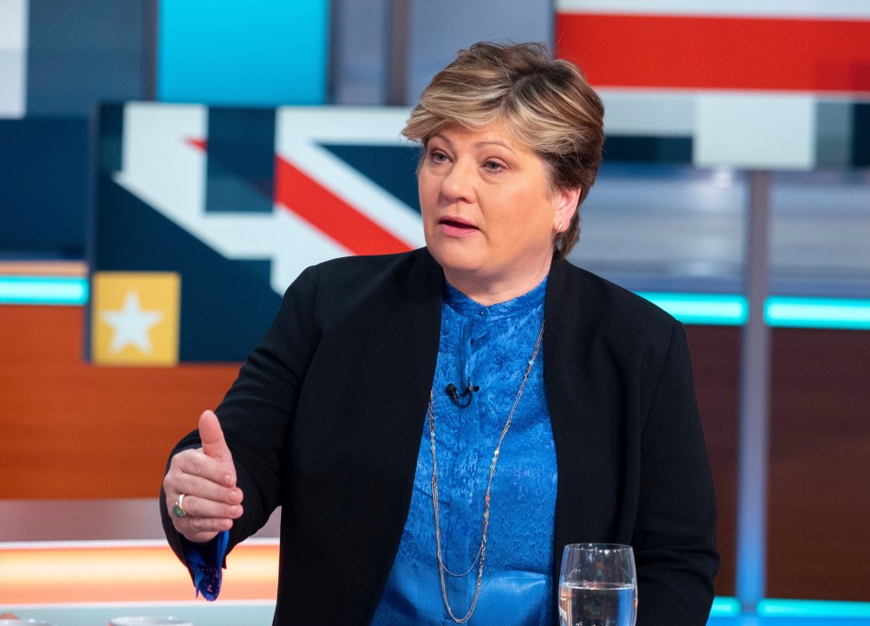 White Van Man snob Emily Thornberry is the only candidate with Whitehall experience