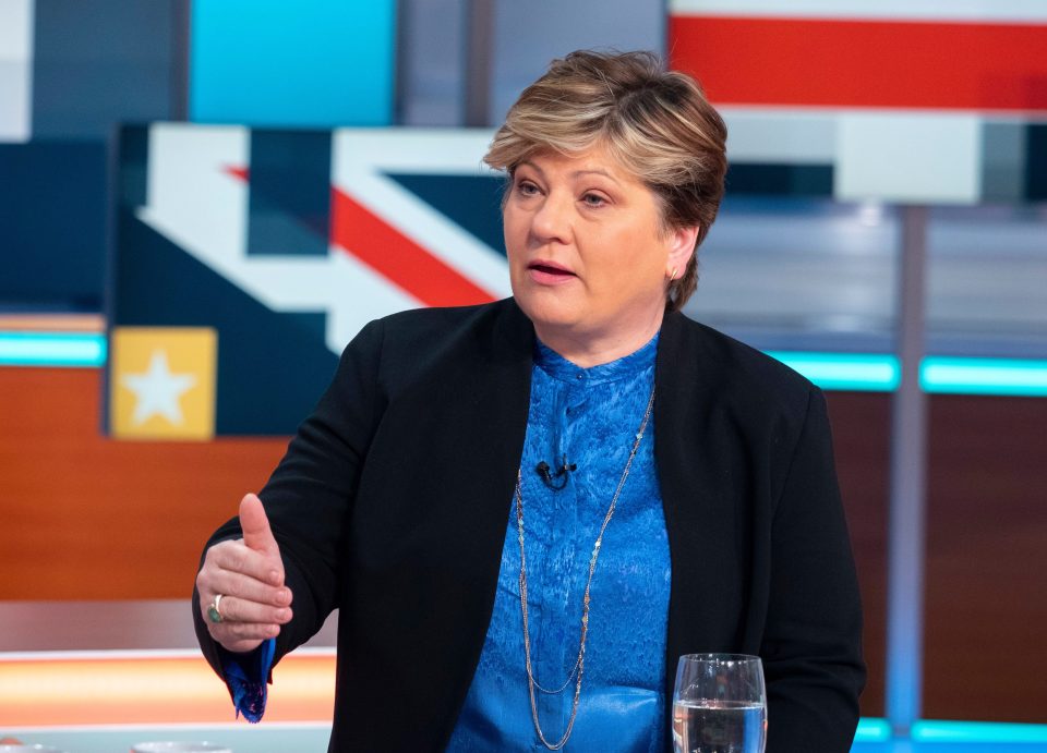  White Van Man snob Emily Thornberry is the only candidate with Whitehall experience