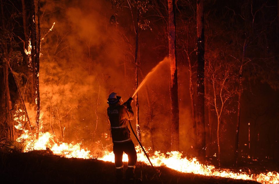 Instagram model 'raises $500K for Australia bushfire by offering NUDES to fans'