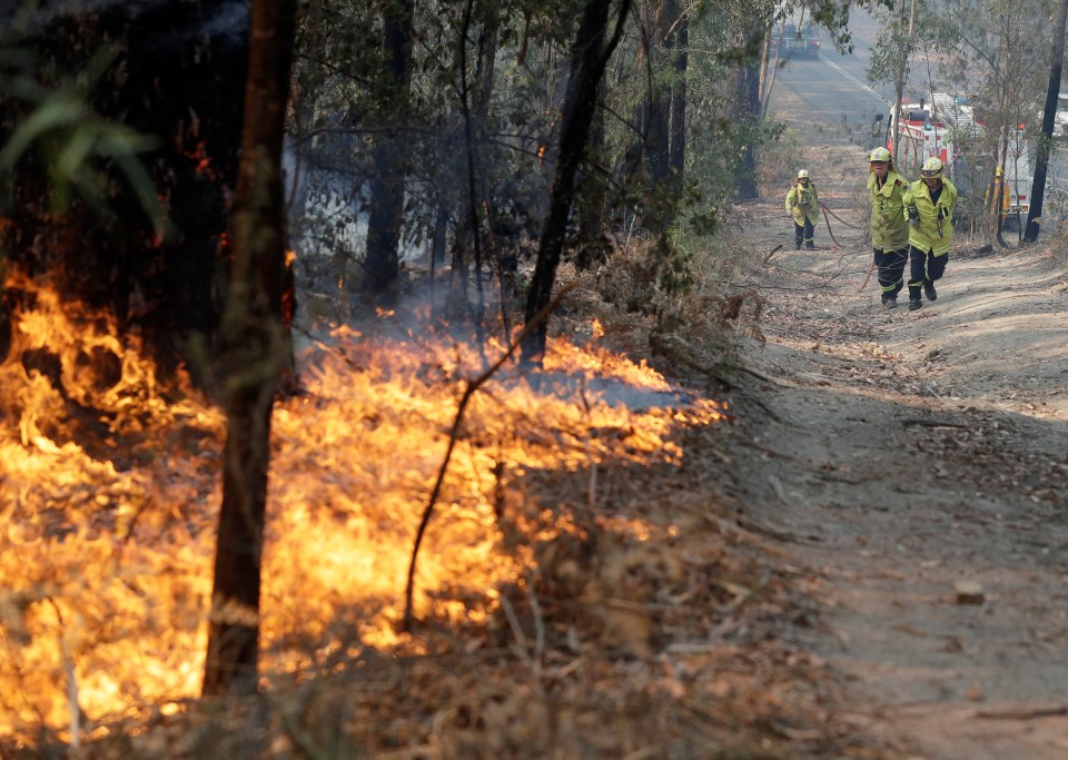 The devastating Australia bushfires have claimed 18 lives so far