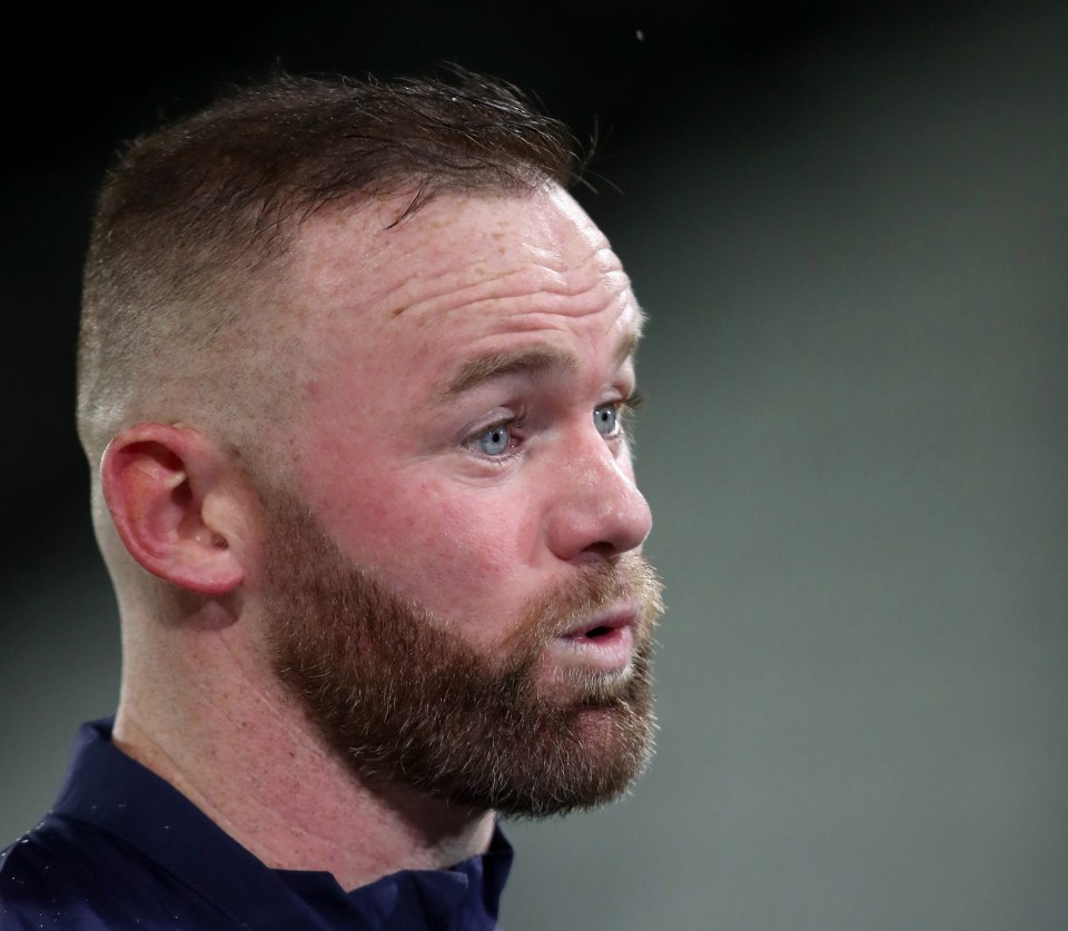 Wayne Rooney’s beard certainly caused a stir online