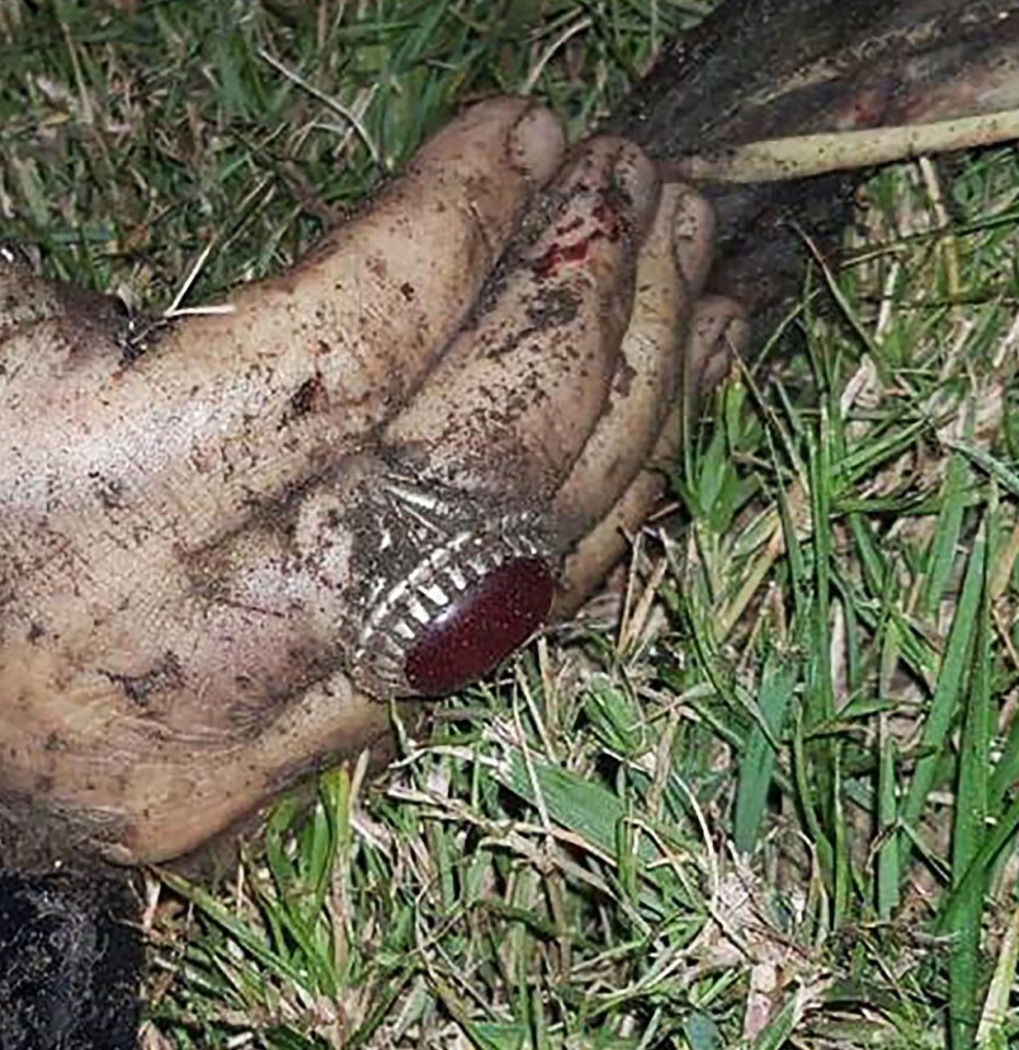 Soleimani’s body was identified by his large red gemstone ring