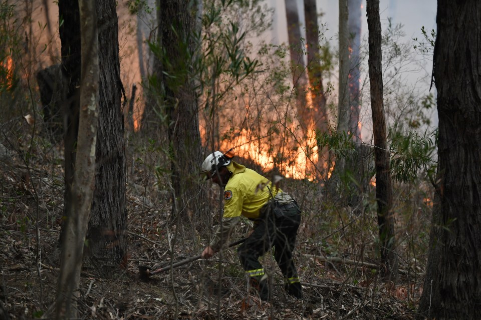 A firefighter works to contain a bushfire as it rages in Ulladulla, New South Wales