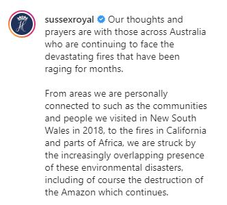  They linked the situation in Australia to the fires in California, Africa and the Amazon