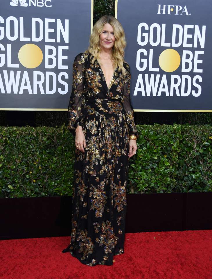 Little Women actress Laura Dern looked chic in a metallic floral maxi dress with a plunging V-neckline