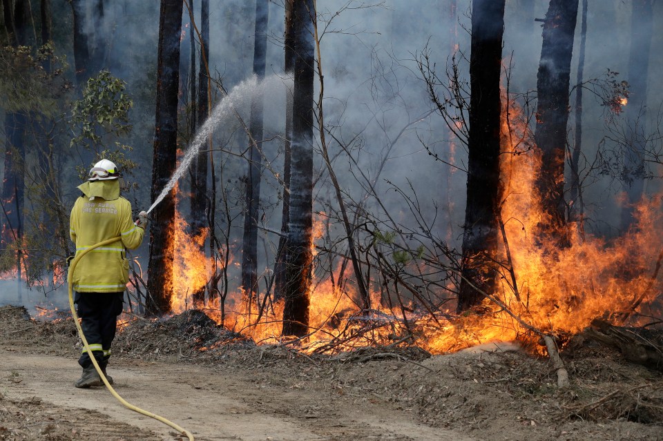  One firefighter in Darwin has been accused of deliberately igniting 17 wildfires - but lawyers argue he was actually fighting the blazes he was accused of starting