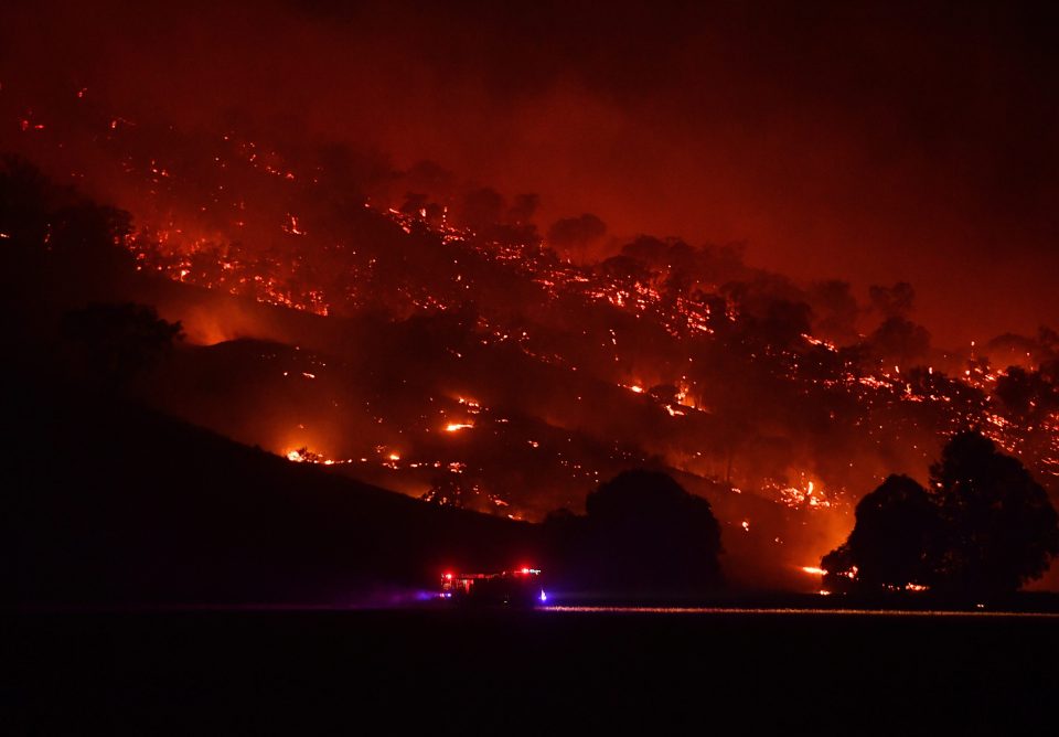  The fires have ravaged tens of thousands of square miles across Australia