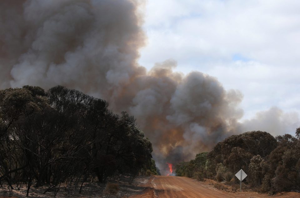  Smoke from the devastating fires will be seen all over the world, experts say