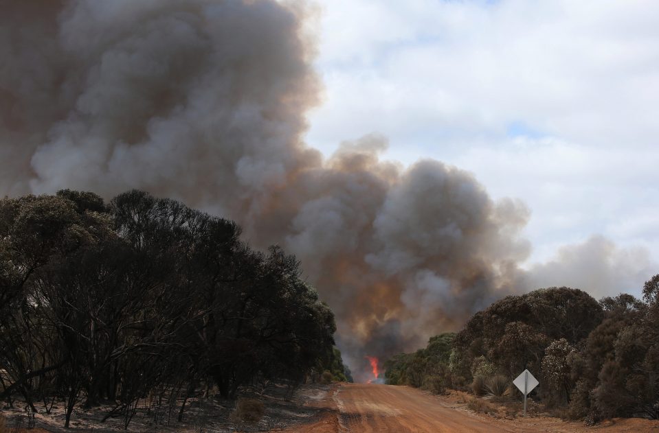  200,000 hectares of land has been burnt in the devastating Kangaroo Island bushfires