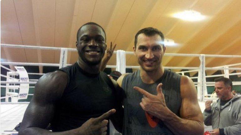  Whyte claims Klitschko knocked out Deontay Wilder in sparring