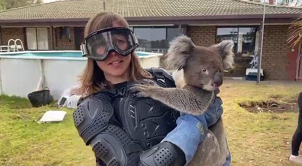  ITV News reporter Debi Edward is tricked into wearing body armour and safety goggles to hold a Koala during report on bushfires - after camera crew tells her it's a 'really vicious' bear with poisonous fangs