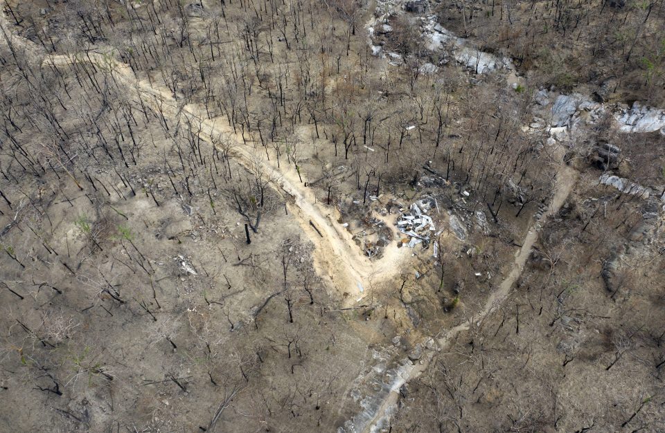 The fires and the drought caused irreparable damage to much of its landscape